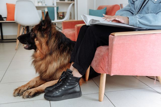 A person reading Braille with a German Shepherd guide dog in a cozy indoor setting.